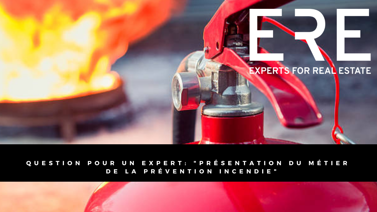 Experts For Real Estate